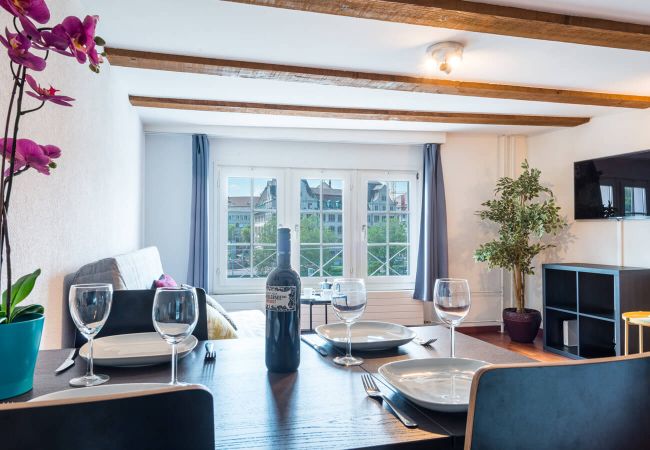 Квартира-студия на Zürich - ZH Limmat 4 - HITrental Apartment Квартира-студия на Zürich - ZH Limmat 4 - HITrental Apartment