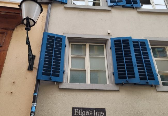 Квартира-студия на Zürich - ZH Gasse 3 - HITrental Schmidgasse Apartment Квартира-студия на Zürich - ZH Gasse 3 - HITrental Schmidgasse Apartment