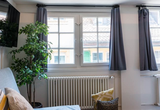 Квартира-студия на Zürich - ZH Gasse 3 - HITrental Schmidgasse Apartment Квартира-студия на Zürich - ZH Gasse 3 - HITrental Schmidgasse Apartment