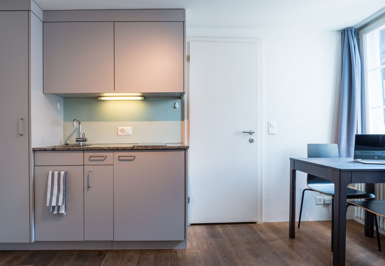 Квартира-студия на Zurich - ZH Schmidgasse II - HITrental Apartment