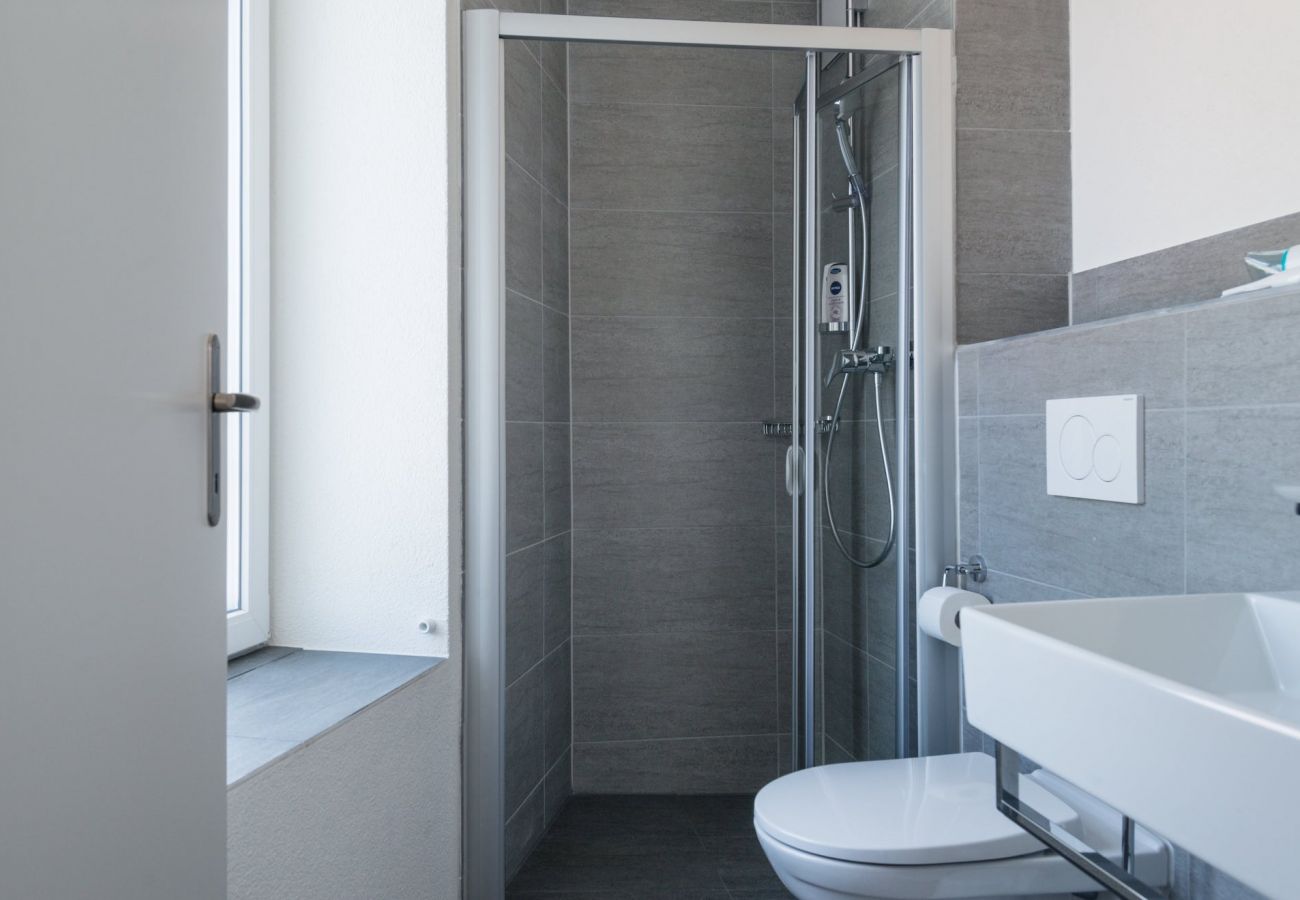 Апартаменты на Zurich - ZH Lion III - Altstetten HITrental Apartment