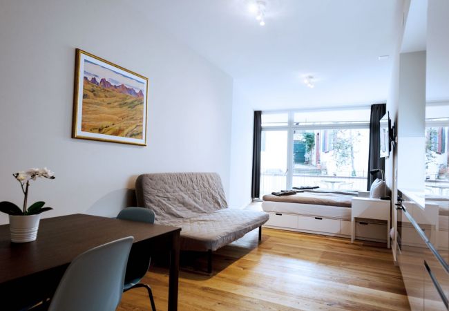 Квартира-студия на Basel - BS Hodler I - Marktplatz HITrental Apartment