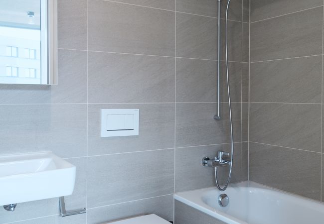 Апартаменты на Basel - BS Wolf III - Messe HITrental Apartment Апартаменты на Basel - BS Wolf III - Messe HITrental Apartment