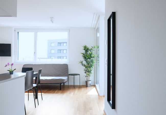 Апартаменты на Basel - BS Wolf III - Messe HITrental Apartment Апартаменты на Basel - BS Wolf III - Messe HITrental Apartment