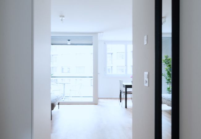 Апартаменты на Basel - BS Fox I - Messe HITrental Apartment Апартаменты на Basel - BS Fox I - Messe HITrental Apartment