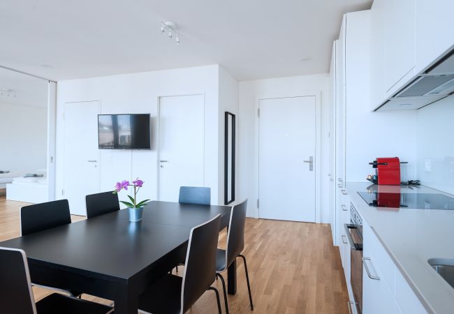 Апартаменты на Basel - BS Rabbit V - Messe HITrental Apartment Апартаменты на Basel - BS Rabbit V - Messe HITrental Apartment