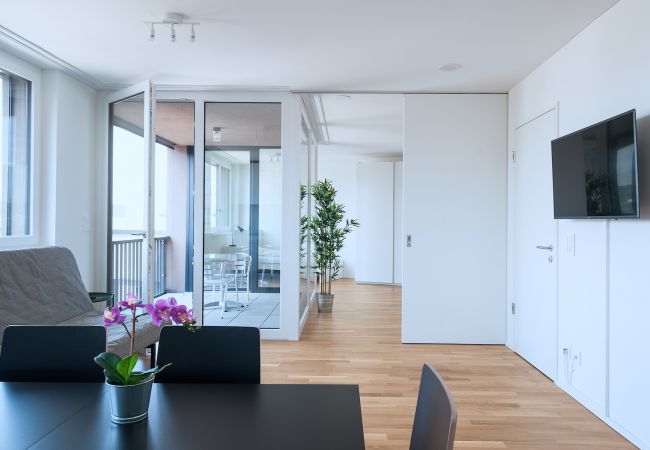 Апартаменты на Basel - BS Rabbit V - Messe HITrental Apartment Апартаменты на Basel - BS Rabbit V - Messe HITrental Apartment