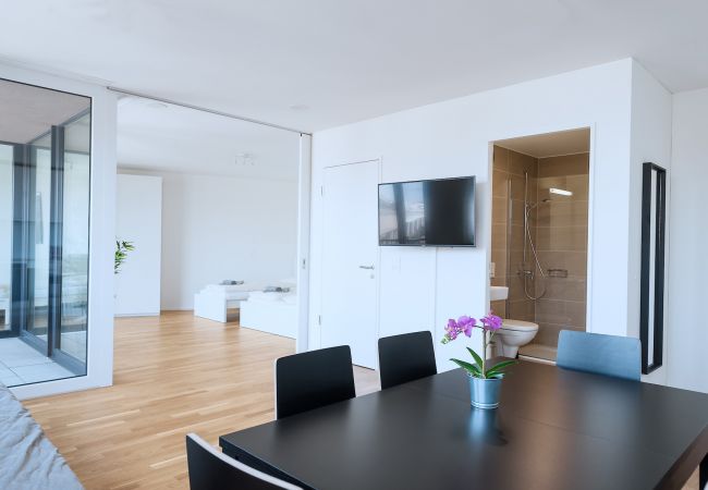 Апартаменты на Basel - BS Rabbit V - Messe HITrental Apartment Апартаменты на Basel - BS Rabbit V - Messe HITrental Apartment