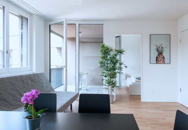 Апартаменты на Basel - BS Owl IV - Messe HITrental Apartment