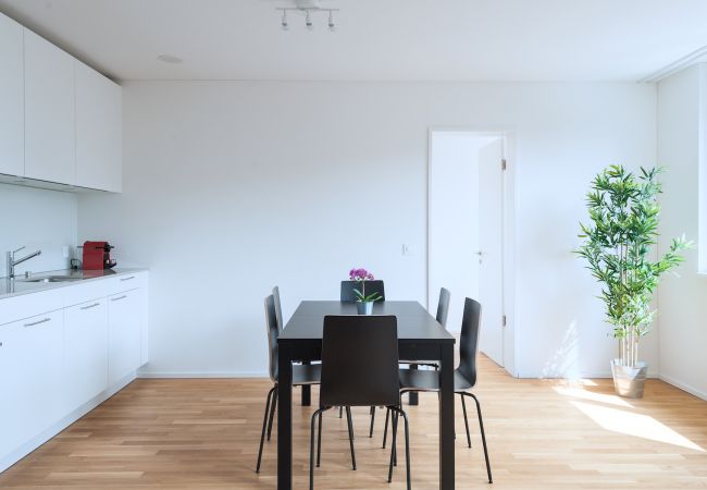 Апартаменты на Basel - BS Hedgehog V - Messe HITrental Apartment Апартаменты на Basel - BS Hedgehog V - Messe HITrental Apartment