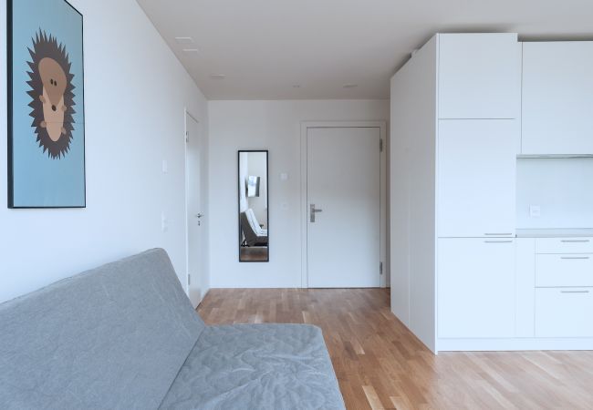 Апартаменты на Basel - BS Hedgehog V - Messe HITrental Apartment Апартаменты на Basel - BS Hedgehog V - Messe HITrental Apartment