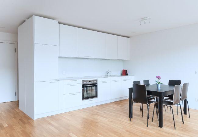 Апартаменты на Basel - BS Hedgehog V - Messe HITrental Apartment Апартаменты на Basel - BS Hedgehog V - Messe HITrental Apartment