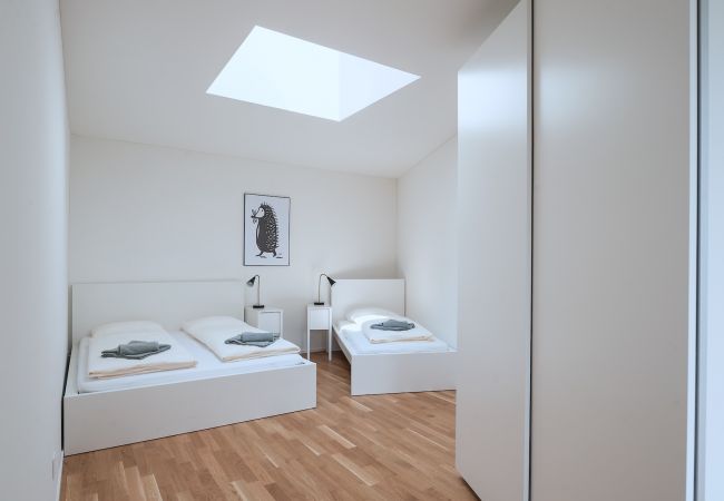 Апартаменты на Basel - BS Hedgehog V - Messe HITrental Apartment Апартаменты на Basel - BS Hedgehog V - Messe HITrental Apartment