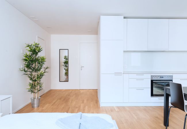 Апартаменты на Basel - BS Lynx I - Messe HITrental Apartment Апартаменты на Basel - BS Lynx I - Messe HITrental Apartment