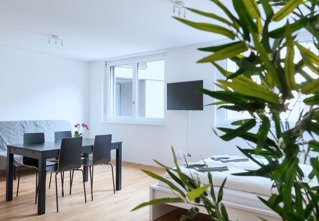 Апартаменты на Basel - BS Lynx I - Messe HITrental Apartment Апартаменты на Basel - BS Lynx I - Messe HITrental Apartment