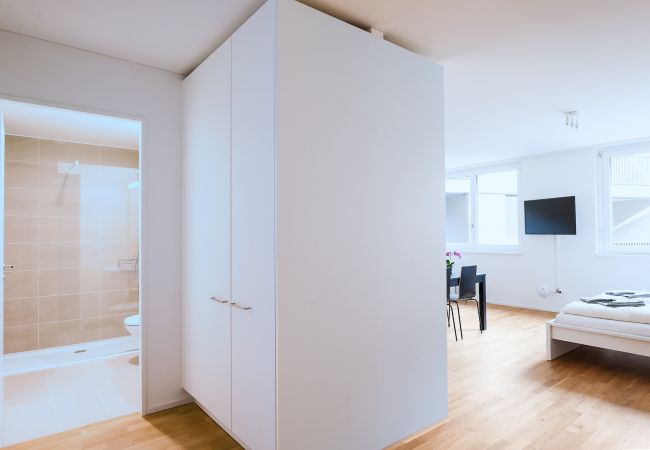 Апартаменты на Basel - BS Lynx I - Messe HITrental Apartment Апартаменты на Basel - BS Lynx I - Messe HITrental Apartment
