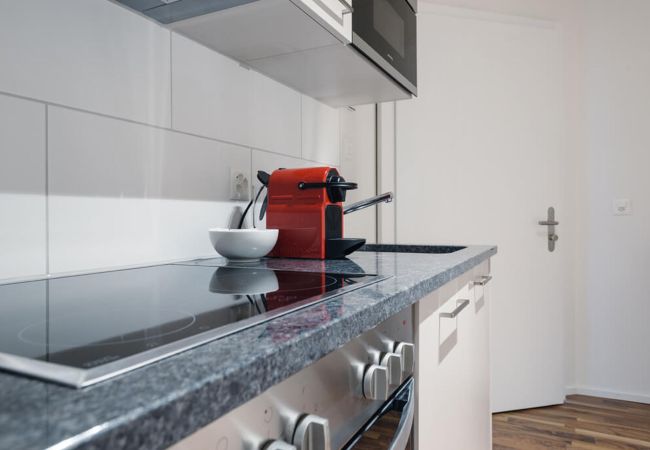 Апартаменты на Zurich - ZH Cherry I - HITrental Wiedikon Apartments Апартаменты на Zurich - ZH Cherry I - HITrental Wiedikon Apartments