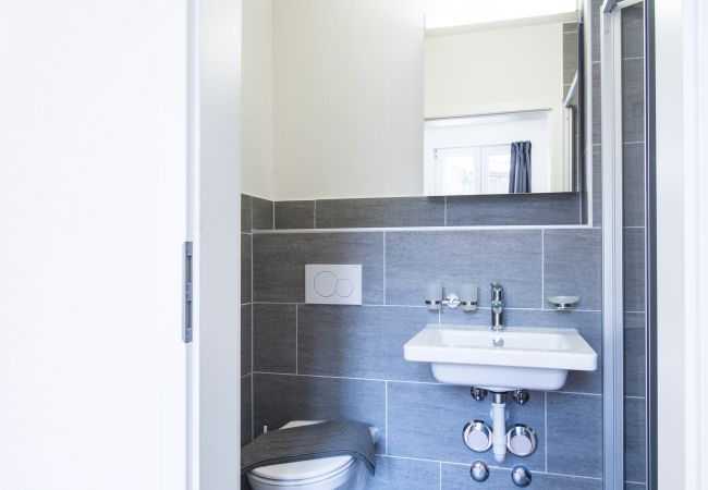Апартаменты на Zurich - ZH Pineapple III - HITrental Wiedikon Apartments Апартаменты на Zurich - ZH Pineapple III - HITrental Wiedikon Apartments