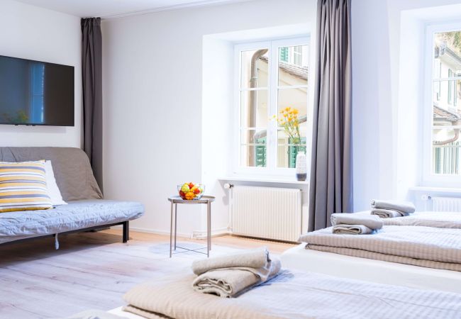 Квартира-студия на Luzern - LU Pulverturm 3 - Zur Metzgern HITrental Apartment Квартира-студия на Luzern - LU Pulverturm 3 - Zur Metzgern HITrental Apartment