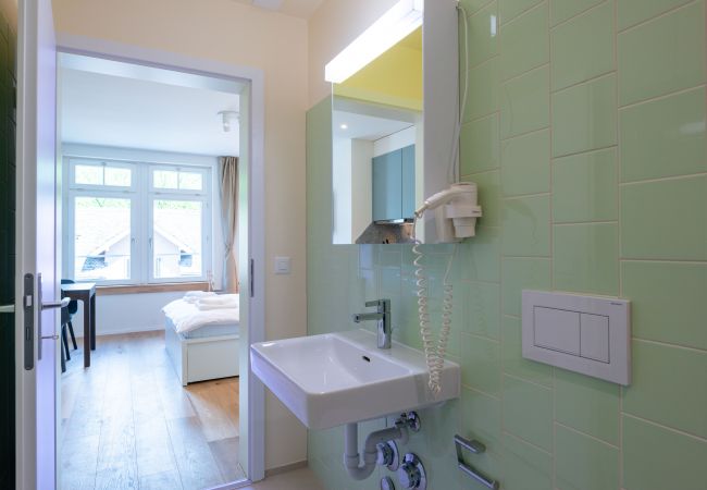 Квартира-студия на Zurich - ZH Radius - Riesbach HITrental Apartments