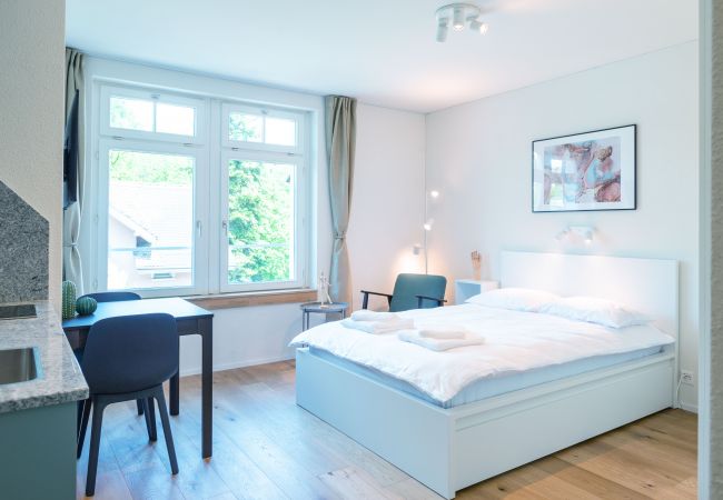 Квартира-студия на Zurich - ZH Radius - Riesbach HITrental Apartments