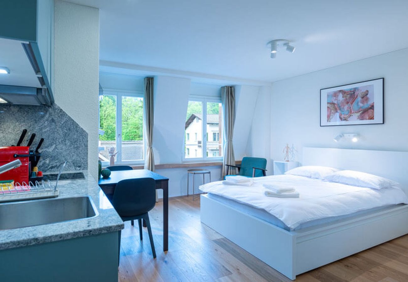Квартира-студия на Zurich - ZH Maxilla 3 - Riesbach HITrental Apartments
