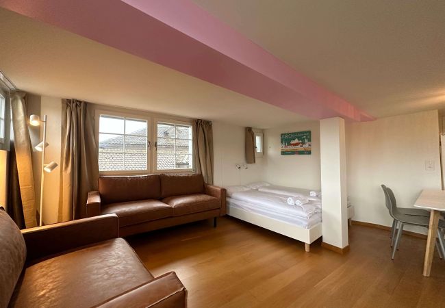 Апартаменты на Zurich - ZH Hesse 4 - Limmatquai HITrental Apartment Апартаменты на Zurich - ZH Hesse 4 - Limmatquai HITrental Apartment