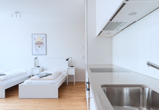 Апартаменты на Basel - BS Lynx IV - Messe HITrental Apartment Апартаменты на Basel - BS Lynx IV - Messe HITrental Apartment