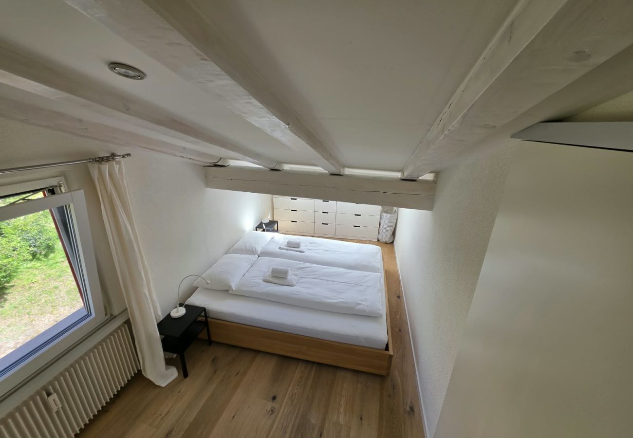 Апартаменты на Zuoz - EN Enzian - Engadin HITrental Apartment